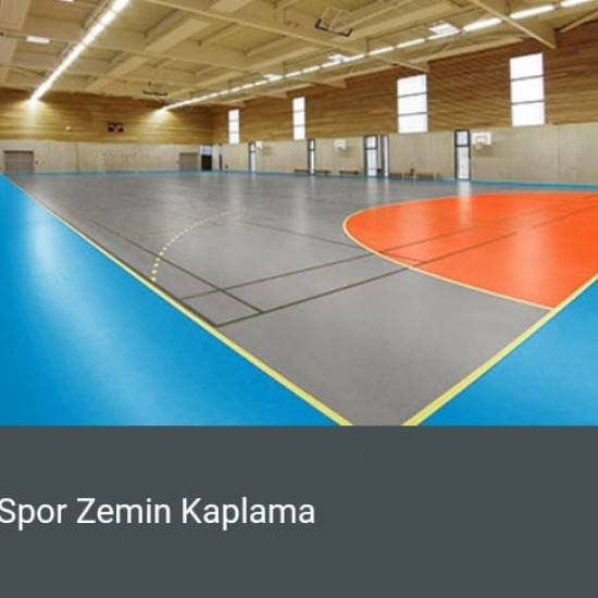 Image Caption