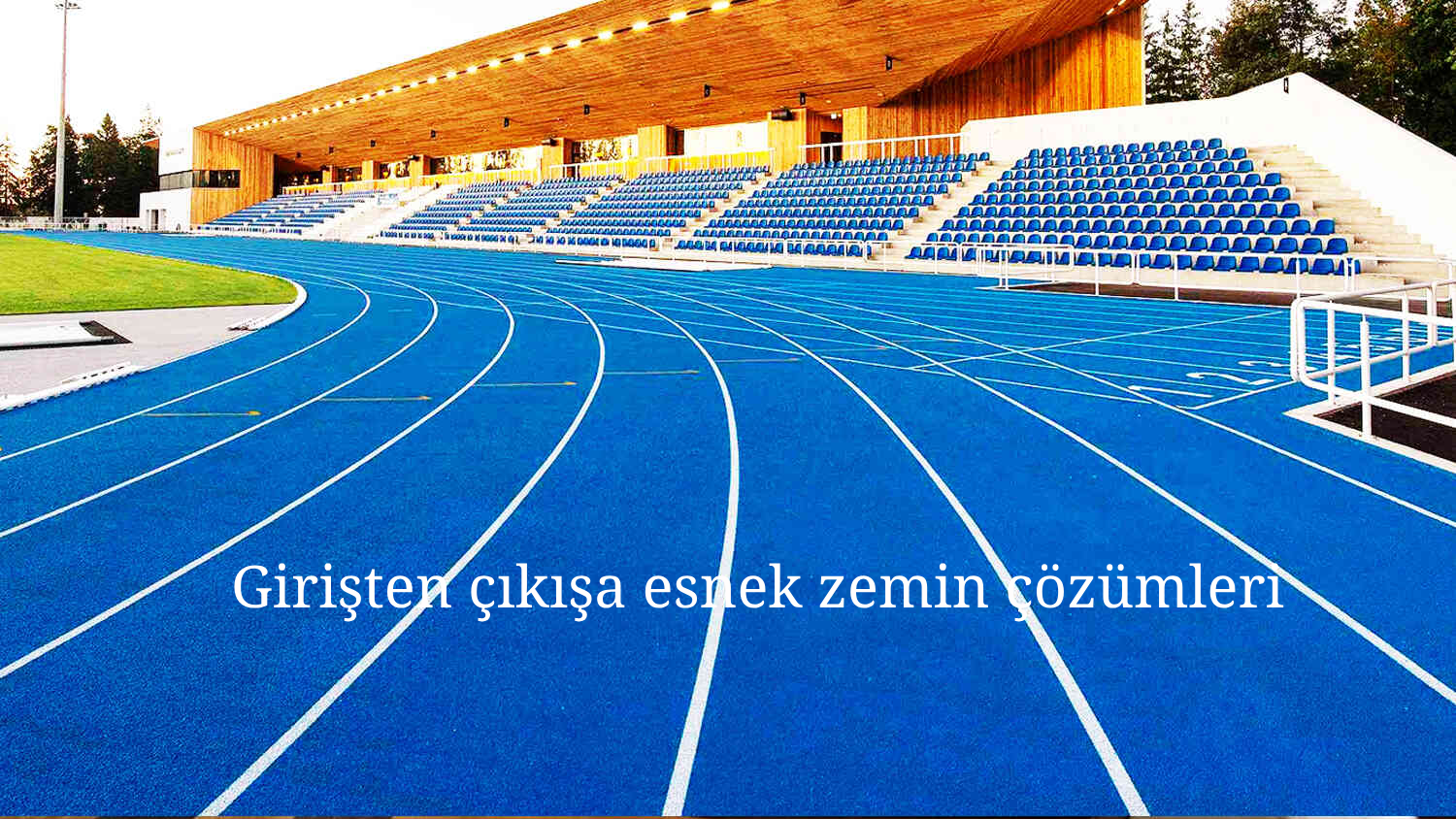 gfdgd